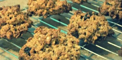 oatsy-cookies1-500x343-1