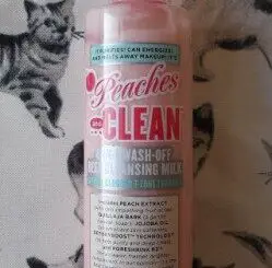 beauty-review-soap-glory-peaches-and-clean-cleanser-249x500-1