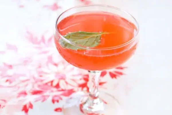 strawberry-gin-cocktail-recipe