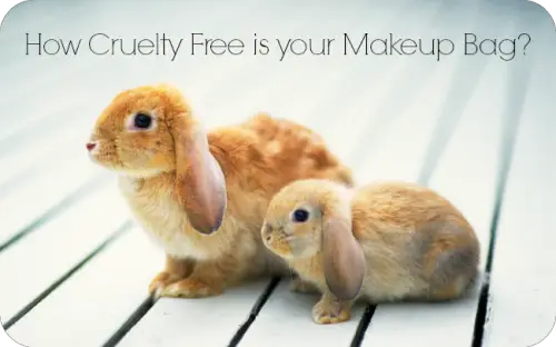 cruelty-free-makeup-brands-500x312-1