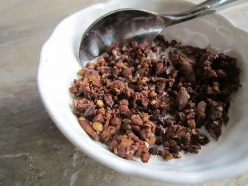 how-to-make-chocolate-buckwheat-granola-500x375-1