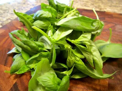 how-to-prepare-basil-pesto-with-nutritional-yeast-500x375-1