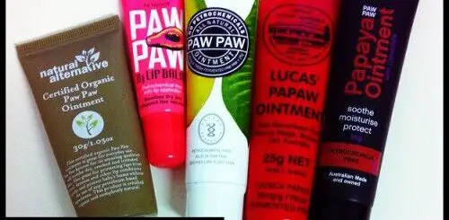 top-5-e28093-pawpaw-ointments-500x500-1