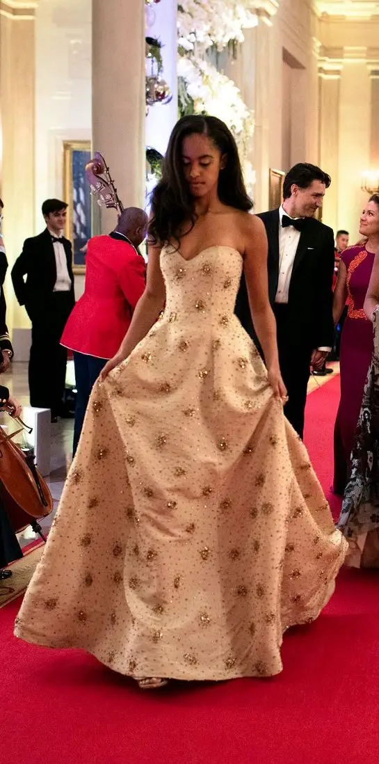 state-dinner-gown