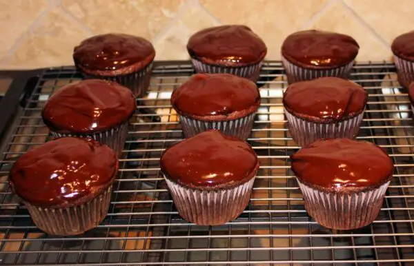 chocolate-cupcakes-with-chocolate-icing