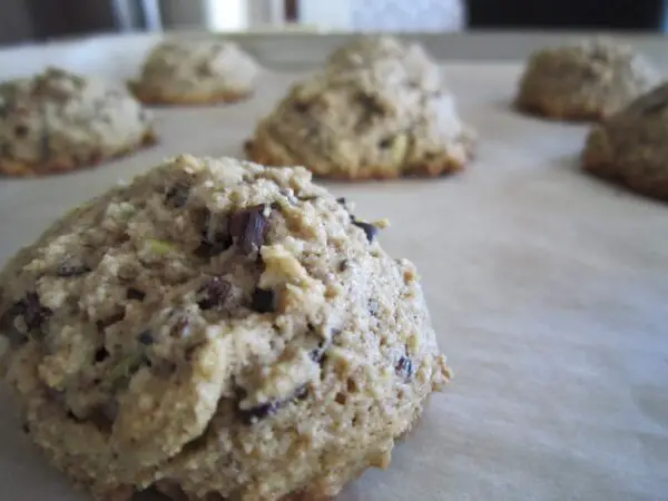 noatmeal-cookies-with-raisin-recipe
