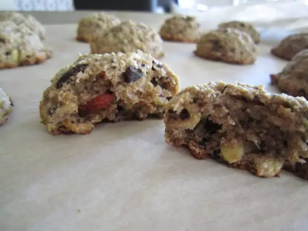 noatmeal-cookies-with-raisin