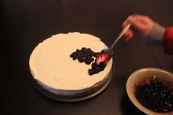 no-bake-cheesecake-35